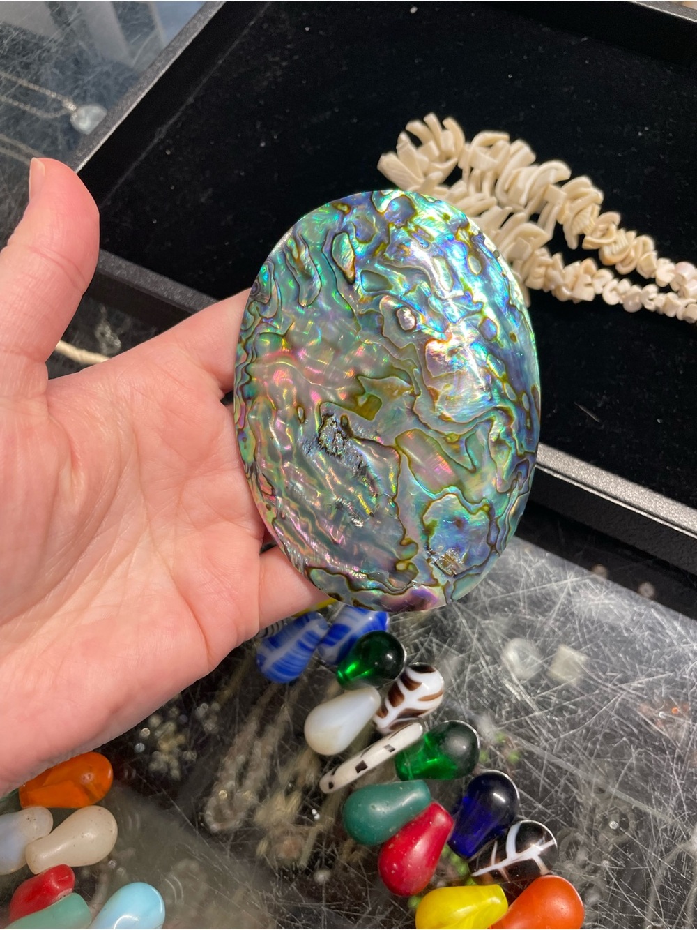 May live show in the wild listing